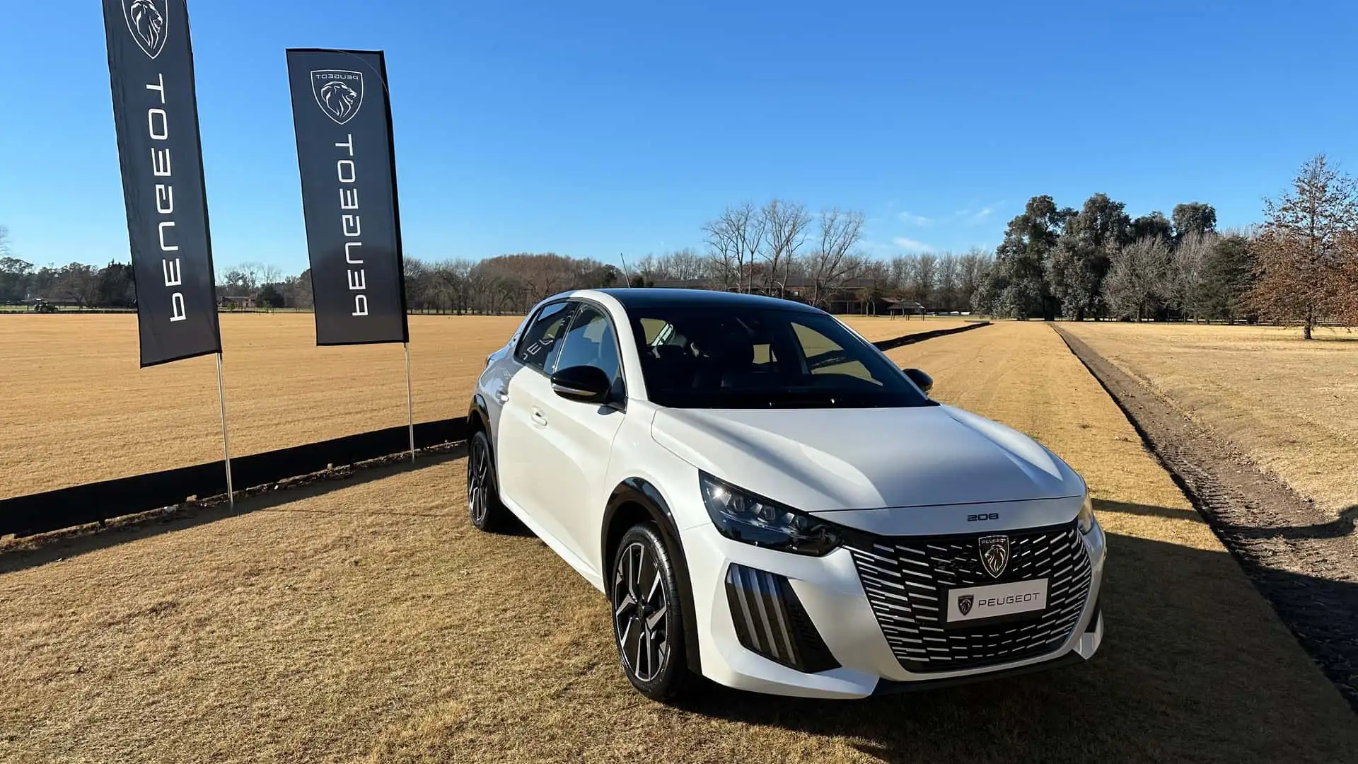 Novo Peugeot 208 2025 inicia vendas na Argentina antes do Brasil