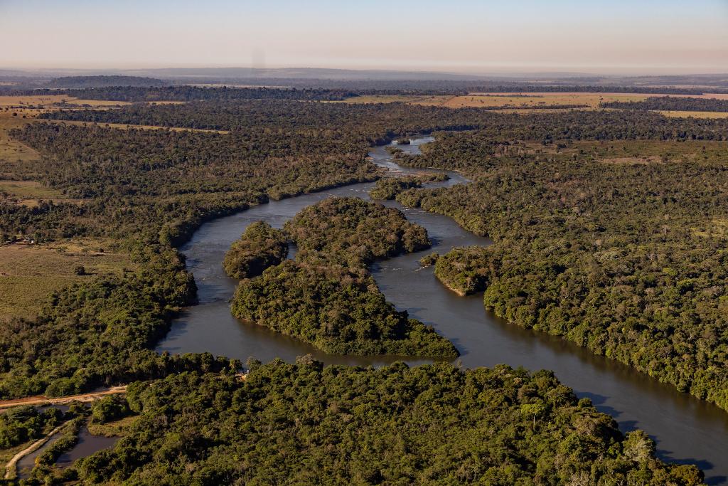 Inpe aponta redução de 51% em um ano no desmatamento na Amazônia Legal de MT