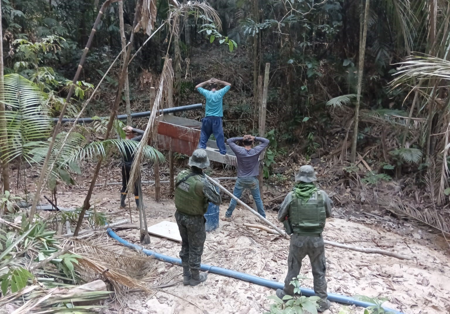 Sesp reforça combate a crimes ambientais com a operação Meio Ambiente Seguro