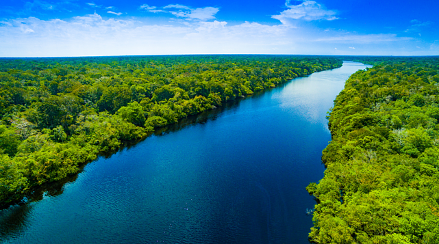 Brasil já perdeu 33% das áreas naturais de seu território