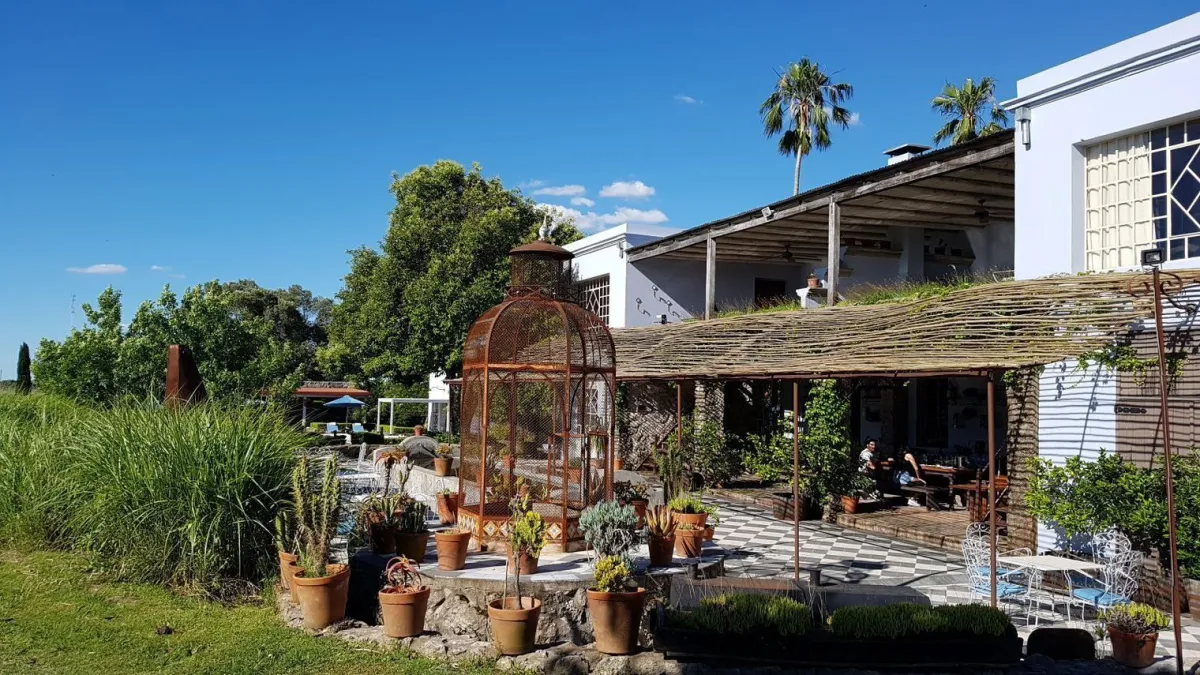 Conheça a cidade de Carmelo, o paraíso do enoturismo no Uruguai