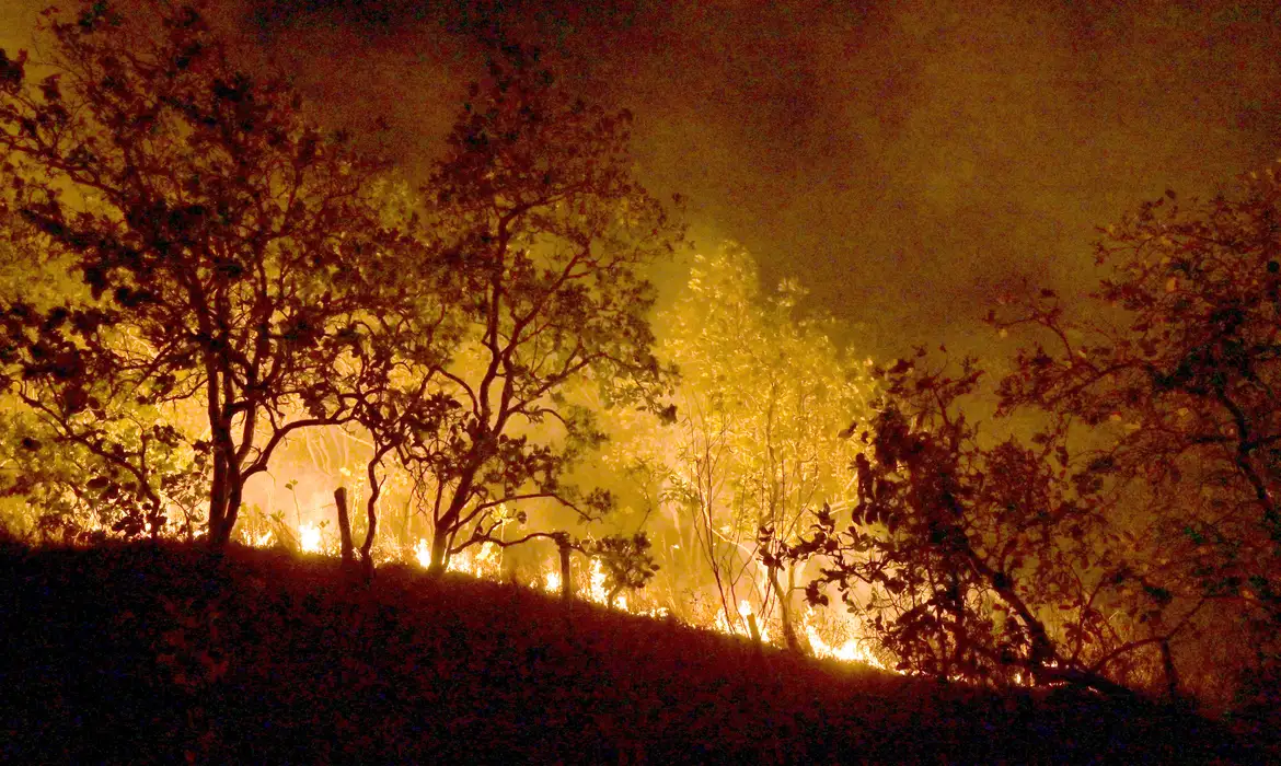 Governo prepara pacote ambiental contra queimadas para apresentar à ONU