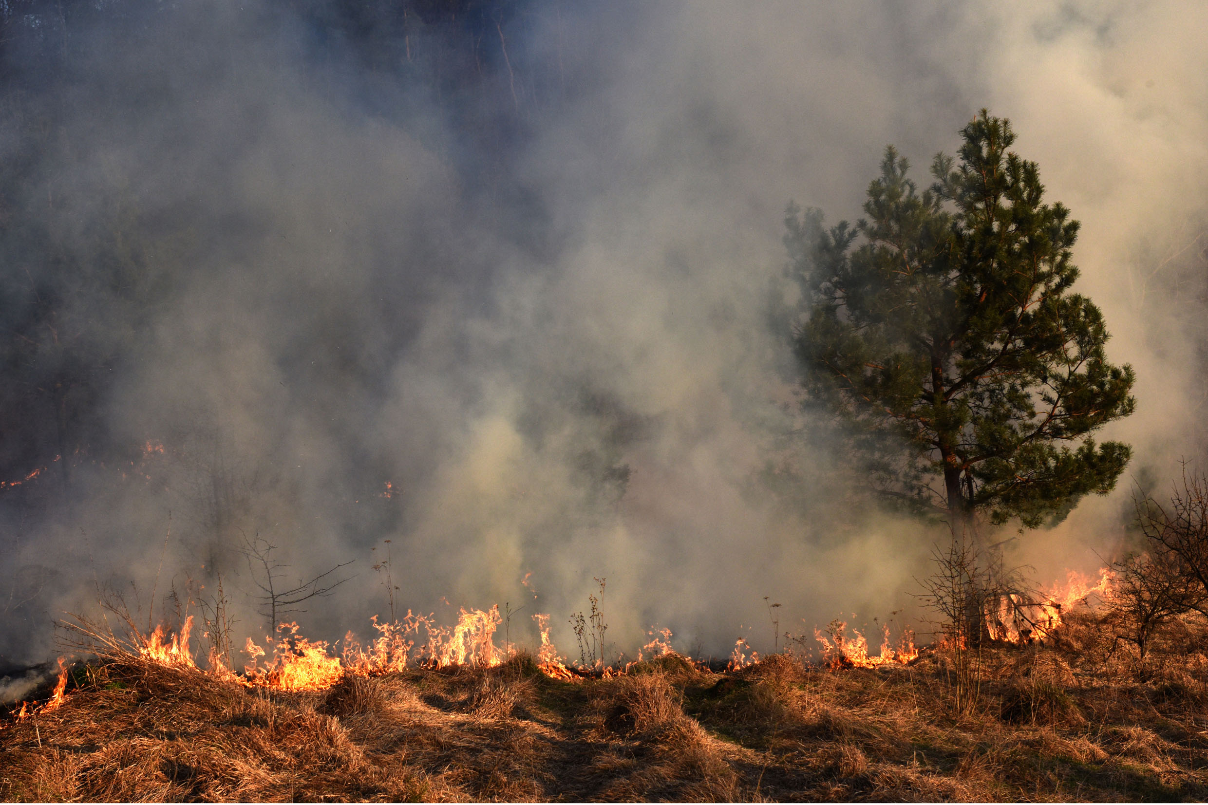 Município decreta situação de emergência por incêndios florestais