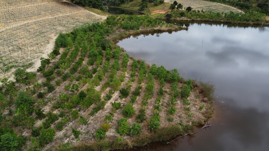 Restauração florestal pode aumentar em até 10 sacas por hectare a produtividade da soja