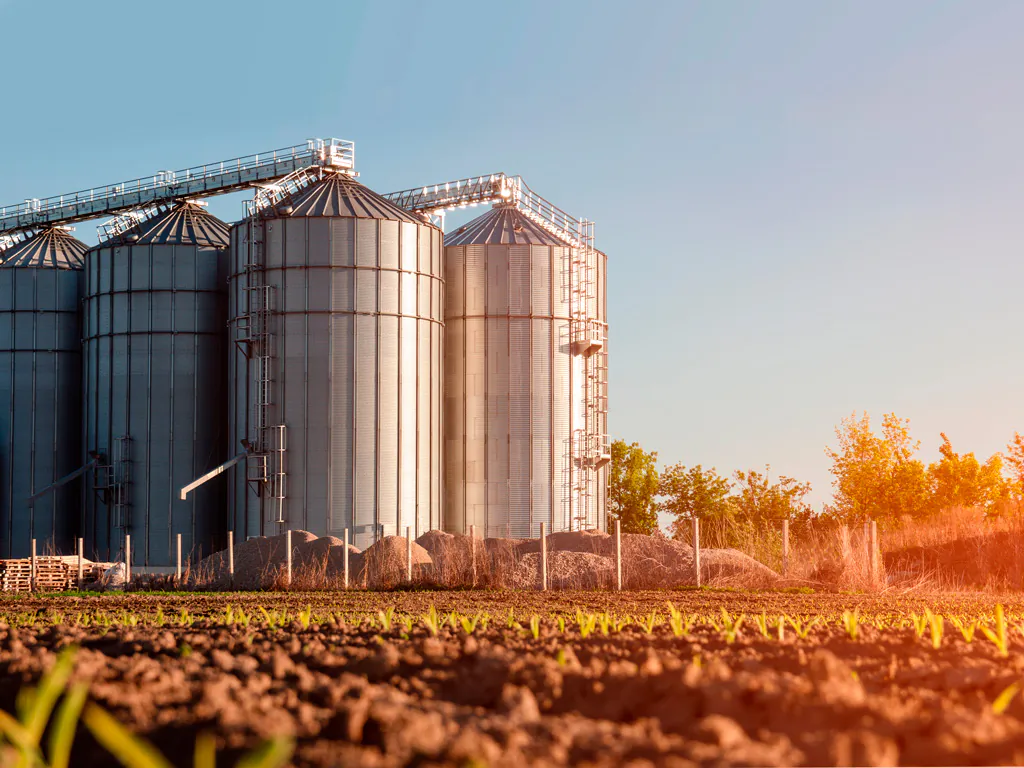 Falta de silos de armazenamento põe em risco a superprodução brasileira de grãos