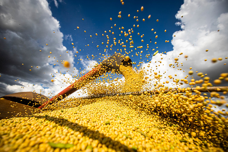 PIB do agro recua no 3º trimestre de 2024; no ano, queda chega a 3,5%