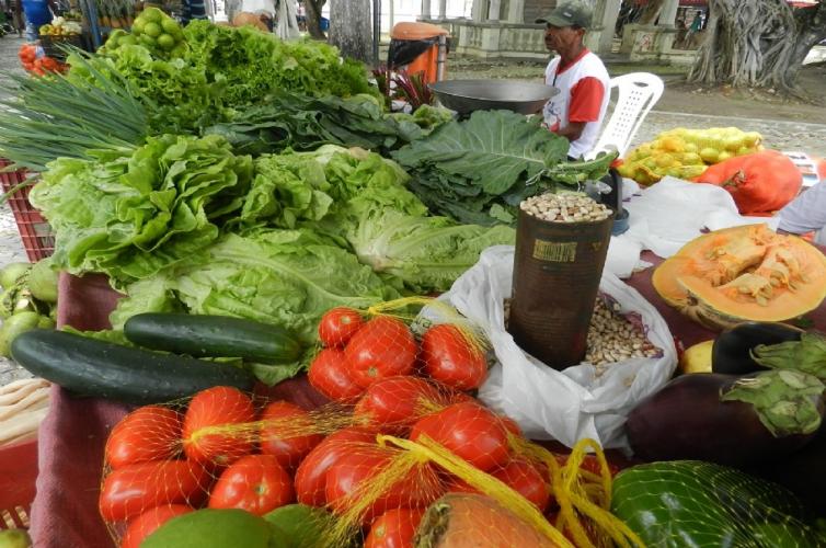 Investimentos na agricultura familiar de Mato Grosso impulsionam desenvolvimento regional