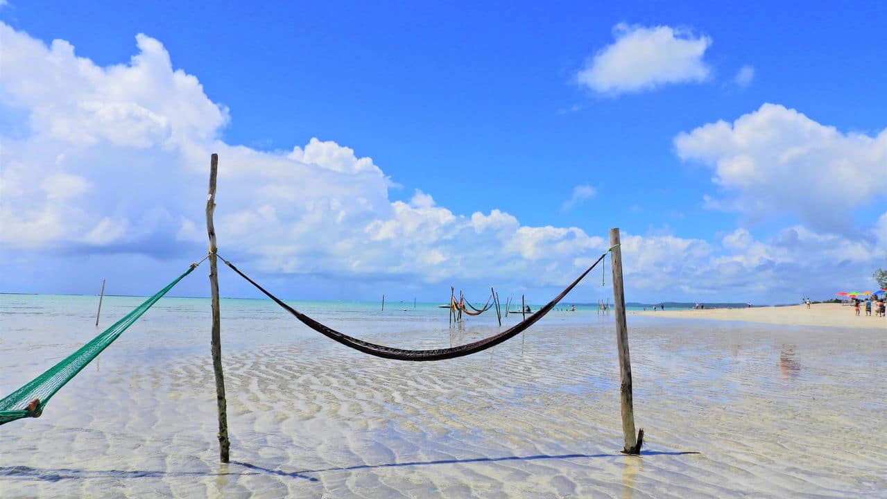 3 passeios imperdíveis em Maragogi que você não pode perder