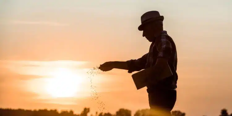 Produtores rurais celebram: nova lei facilita o uso de bioinsumos