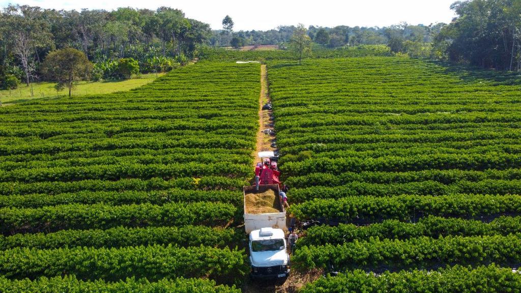 Governo de MT tem linha de crédito para financiar equipamentos, máquinas e implementos agrícolas