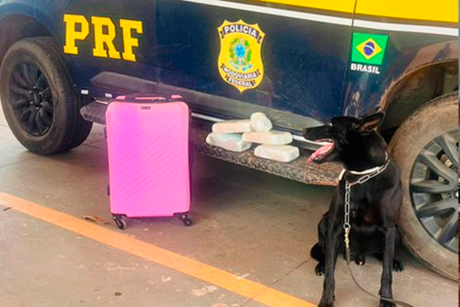 PRF prende passageira com 4 kg de drogas em ônibus na BR-364 em Cuiabá