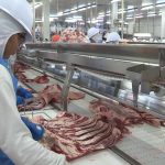 mato-grosso-bate-recorde-de-exportacoes-de-carne-bovina-mesmo-apos-tarifas-dos-eua
