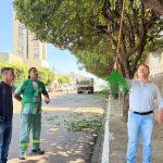 Rondonópolis ganha equipe especializada em poda de árvores com 30 profissionais nesta quarta 26/11.