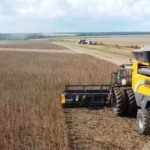 stf-freia-disputas-sobre-moratoria-da-soja-e-congela-acoes-em-todo-o-pais