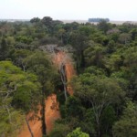 tipologia-no-car:-quando-o-mapa-nao-reflete-a-realidade-da-fazenda