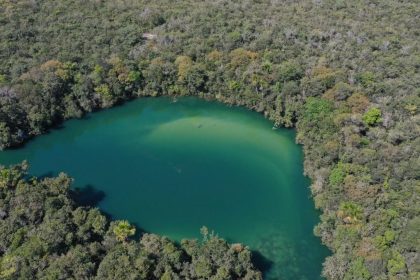 amaggi-apresenta-na-cop30-estrategia-de-descarbonizacao-e-agricultura-regenerativa