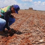 do-sonho-a-conquista:-agricultura-indigena-de-mt-ganha-licenca-inedita-do-ibama