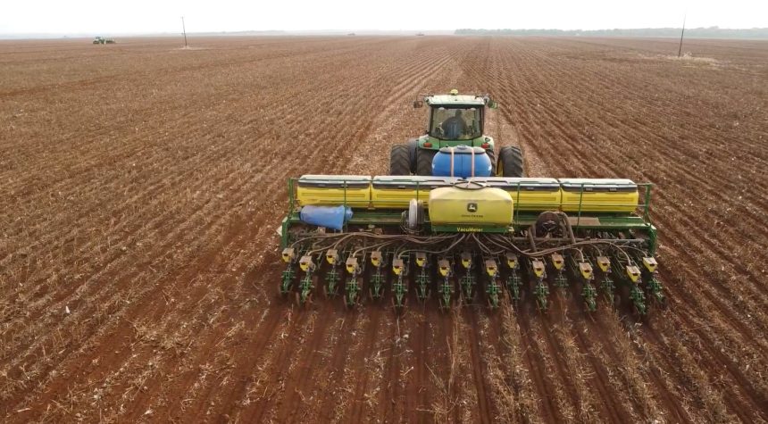 plantio-da-soja-avanca-nas-regioes-nordeste-e-sudeste-de-mato-grosso-apos-chuvas