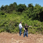 como-provar-uma-area-consolidada-no-car-digital?-casos-reais-e-orientacoes