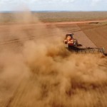 soja-em-mato-grosso-enfrenta-atrasos,-clima-e-mercado-desfavoraveis