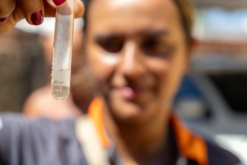 Equipes da Saúde de Rondonópolis intensificam ações de combate ao Aedes aegypti durante o período chuvoso.