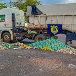 Tabletes de drogas apreendidos pela PRF durante fiscalização na BR-070 em Várzea Grande