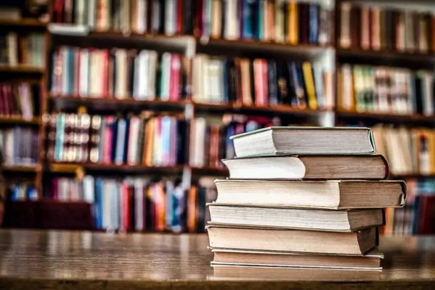 educacao-financeira:-12-livros-de-investimento-que-simplificam-o-mercado