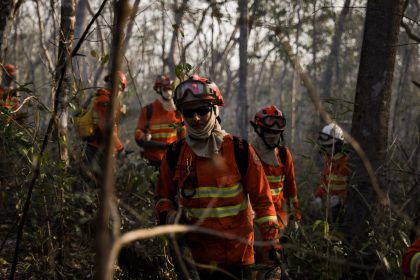 queda-de-71%-nas-queimadas-em-mt-reforca-tese-de-que-fogo-planejado-salva-florestas