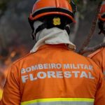 produtores-reforcam-prevencao-em-ano-de-recorde-na-reducao-de-focos-de-calor-em-mato-grosso