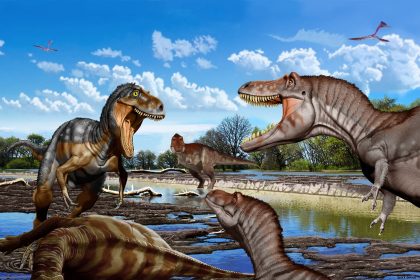 um-osso-da-garganta-mata-a-charada:-o-nanotyrannus-nao-era-um-t.-rex-jovem