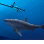 fosseis-de-tubarao-gigante-que-viveu-ha-115-milhoes-de-anos-sao-encontrados