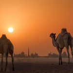 alerta:-2024-foi-o-ano-mais-quente-da-historia-na-regiao-arabe-–-e-aquecimento-esta-acelerando