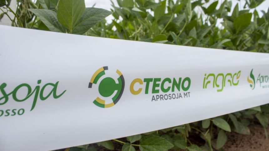 10-anos-de-ctecno:-aprosoja-mt-apresenta-resultados-de-pesquisa-para-guiar-manejo-em-lavouras