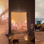 bombeiros-combatem-incendio-de-grandes-proporcoes-em-algodoeira-na-br-163-em-mt;-veja-video