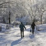 nevasca-poe-nova-york-em-alerta-e-gera-onda-de-cancelamentos-de-voos