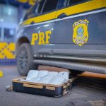 PRF apreende skunk em ônibus na BR-364 em Rondonópolis