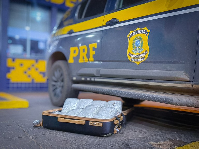 PRF apreende skunk em ônibus na BR-364 em Rondonópolis