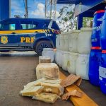 PRF apreensão droga BR-364: cerca de 600 kg de skunk foram encontrados em carga de caminhão entre Rondonópolis e Pedra Preta.
