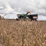 governo-prorroga-diferimento-do-icms-para-fertilizantes-em-mato-grosso