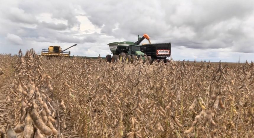 governo-prorroga-diferimento-do-icms-para-fertilizantes-em-mato-grosso