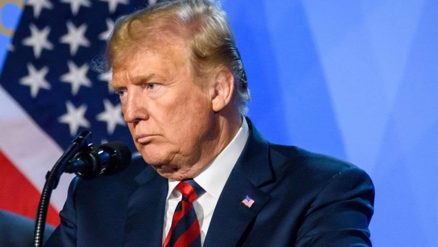 trump-declara-que-estados-unidos-planejam-ofensiva-terrestre-contra-carteis-mexicanos