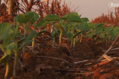 vale-do-guapore-recebe-primeira-edicao-presencial-do-giro-de-pesquisa