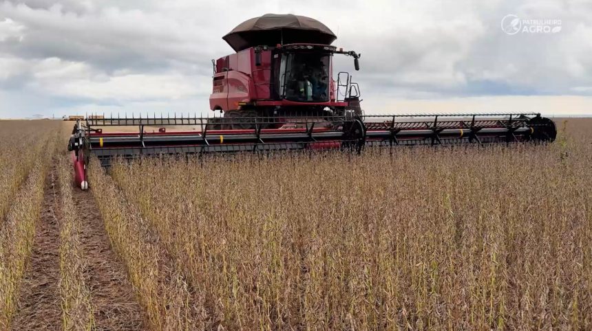 colheita-da-soja-em-mato-grosso-supera-media-das-ultimas-safras