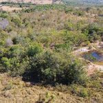 projetos-aprovados-preveem-a-recuperacao-de-50-mil-hectares-em-mato-grosso