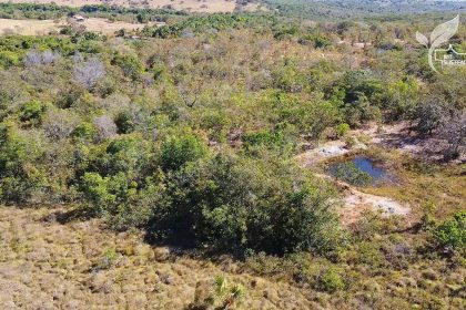 projetos-aprovados-preveem-a-recuperacao-de-50-mil-hectares-em-mato-grosso