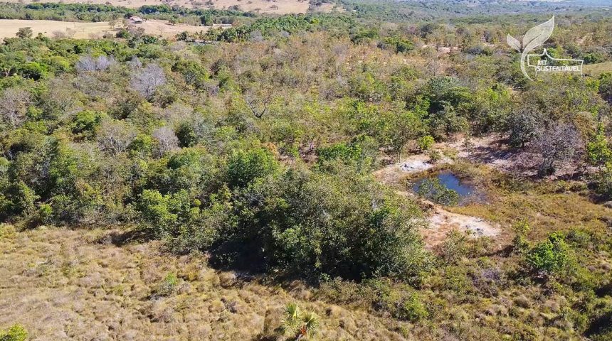 projetos-aprovados-preveem-a-recuperacao-de-50-mil-hectares-em-mato-grosso
