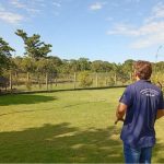 indea-mt-isola-propriedade-em-acorizal-apos-confirmacao-de-gripe-aviaria