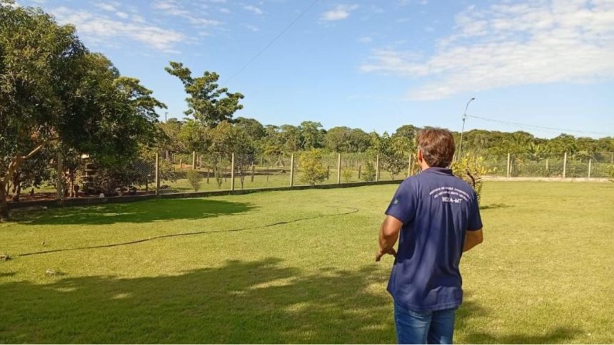 indea-mt-isola-propriedade-em-acorizal-apos-confirmacao-de-gripe-aviaria