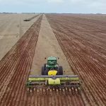 semeadura-do-algodao-apresenta-maior-avanco-semanal-desde-o-inicio-das-atividades