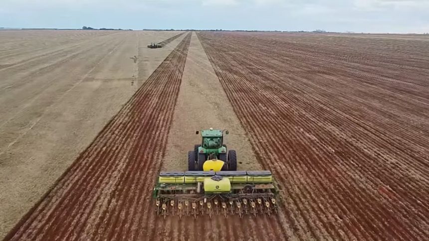 semeadura-do-algodao-apresenta-maior-avanco-semanal-desde-o-inicio-das-atividades